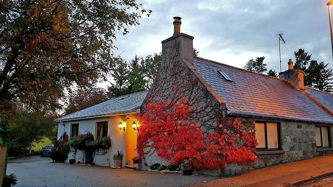 Lilyoak B&B & Self Catering Apartment Insch Extérieur photo